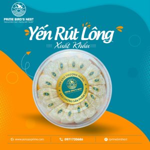 Tổ yến rút lông xuất khẩu AA1 100gr